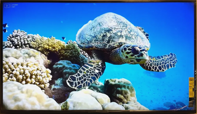 Sony Fwd-65x75k Image