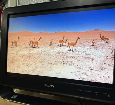Sony Bravia kdl-19m4000 Image