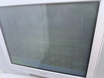 Sony Trinitron WEGA Image