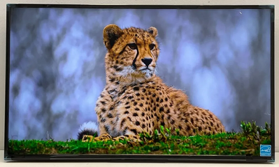 Sony Fw43bz30l Image