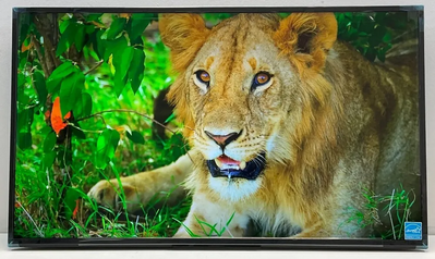 Sony Fw43bz30l Image