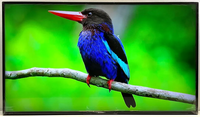 Sony Fw50ez20l Image