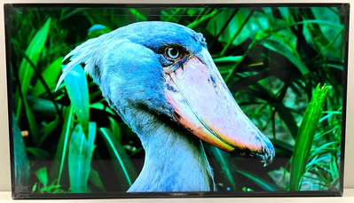 Sony Fw50ez20l Image