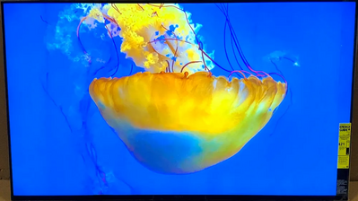 Sony Bravia xr x80k Image