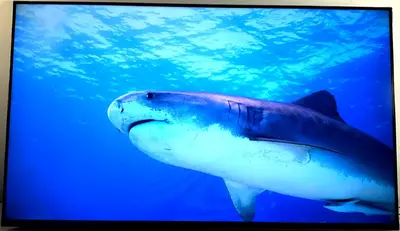 Sony Bravia xr x80k Image