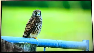 Sony Bravia xr x80k Image