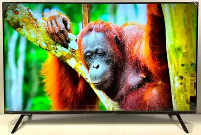 Sony K-55S30 Image