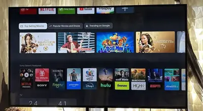 Sony Xbr 800g Image