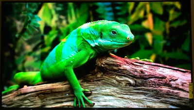 Sony X950h Image