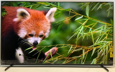 Sony Bravia xr65x90l Image