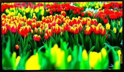 Sony X800H Image