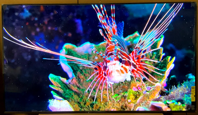 Sony X800H Image
