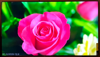Sony X800H Image