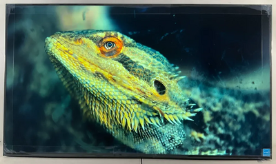 Sony Bravia fw-65bz40h Image
