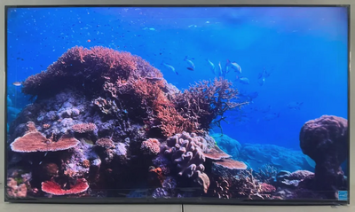 Sony Bravia fw-65bz40h Image