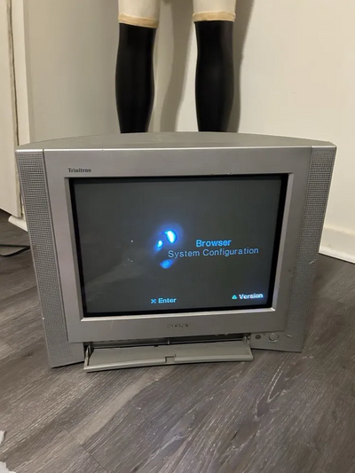 Sony KV-13FS100 Image