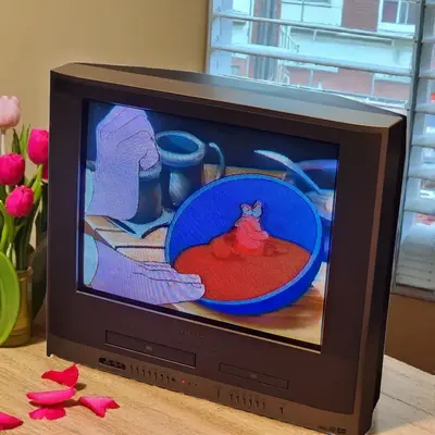 Toshiba Mw24fp3 Image