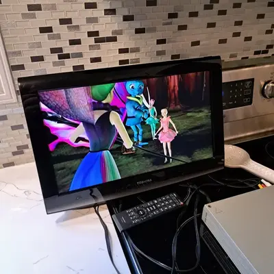 Toshiba 19C100U Image
