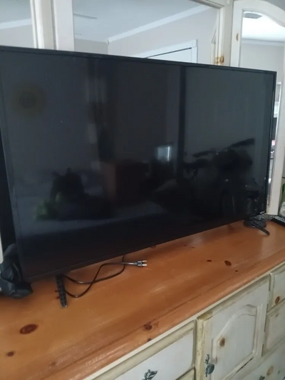 VIZIO VQD43M-0801 Image