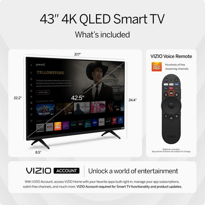 VIZIO VQD43M-0801 Image