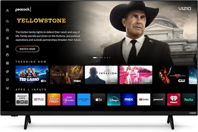 VIZIO VQD43M-0801 Image