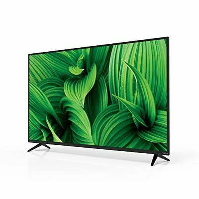 VIZIO D50n-E1 Image