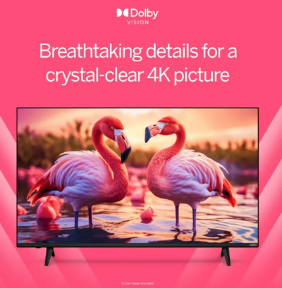 VIZIO V555J01 Image
