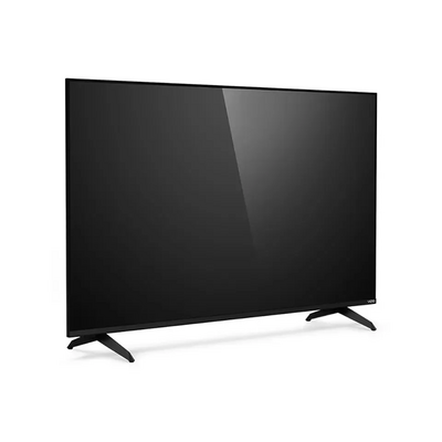 VIZIO V-series v405-h19 Image