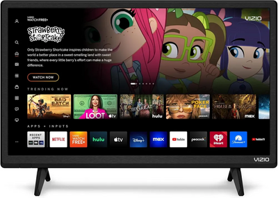 VIZIO D24H-J09 Image
