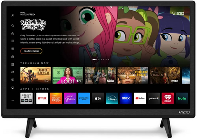 VIZIO D24f-J09 Image