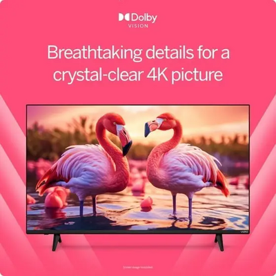 VIZIO V4K50M-08 Image