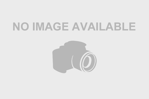 Canon Intl. EOS 5D Mark IV image