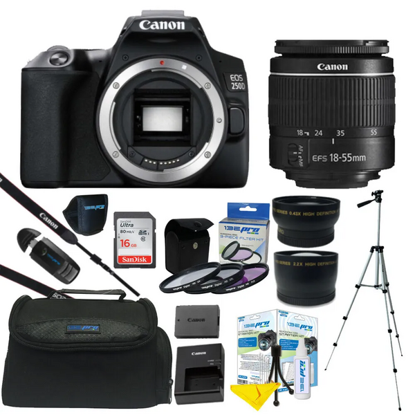Canon EOS Rebel SL3 (EOS 250D / EOS Kiss X10) image