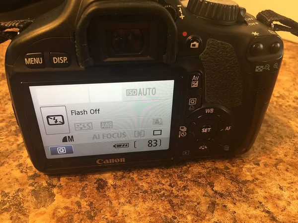 Canon EOS Rebel T2I image