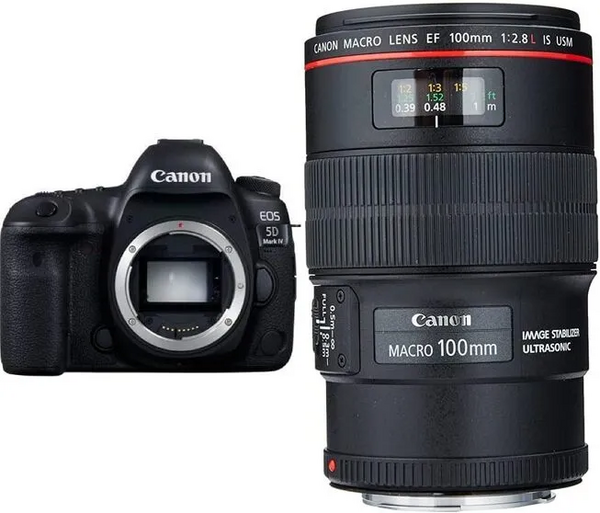 Canon Eos image