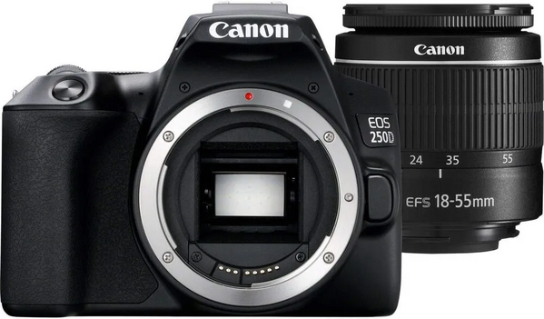 Canon EOS 250D image