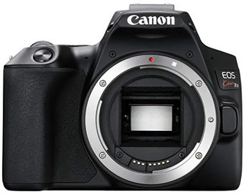Canon EOSKISSX10 image