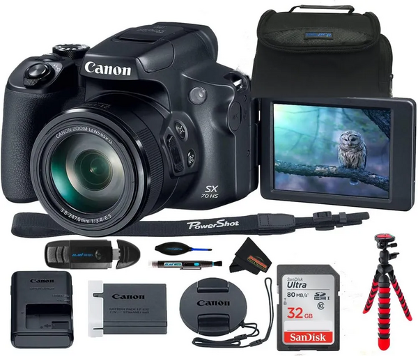 Canon Powershot SX70 Digital image