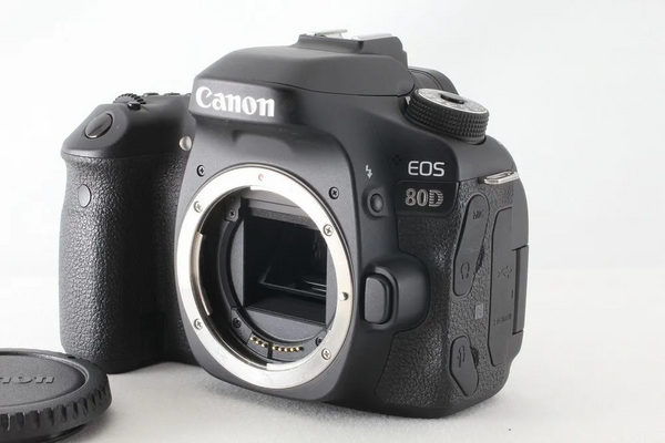 Canon SLR Digital image