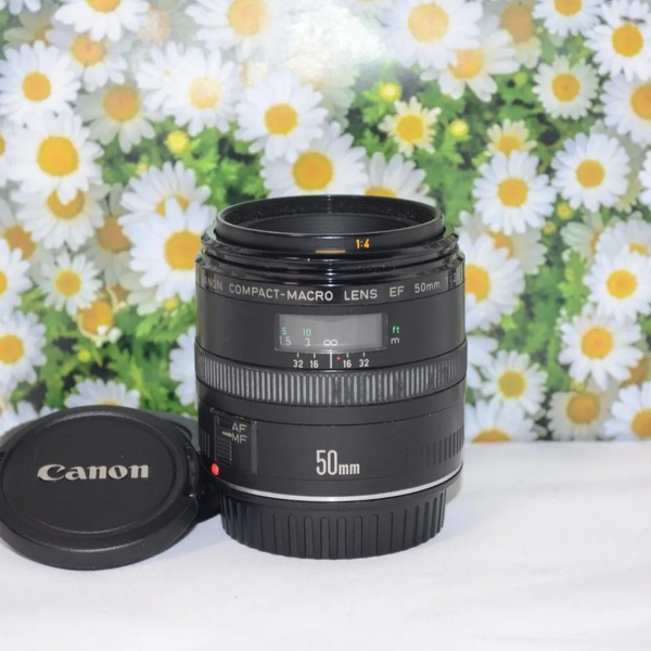 Canon 50mm F2.5 image