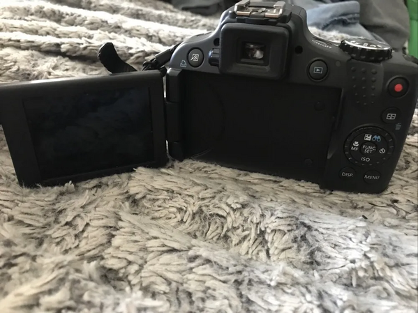 Canon SX500 IS image