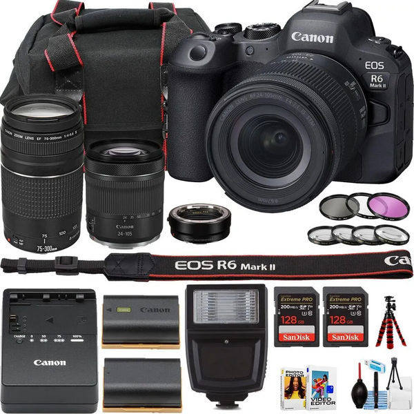 Canon ,eos,r6 image