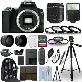 Canon Eos 250d image