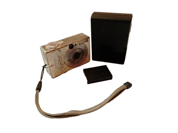 Canon Powershot sd100 image