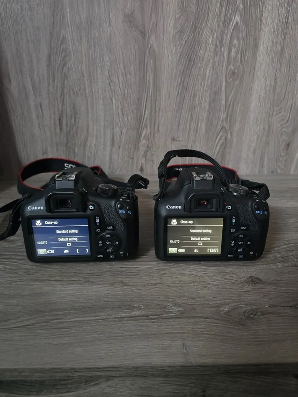 Canon Rebel T6, Rebel T7 image
