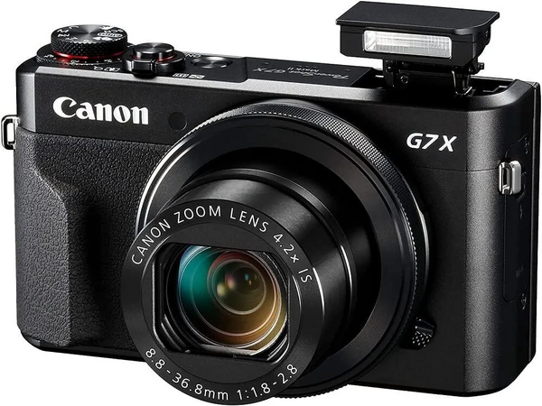 Canon G7 image
