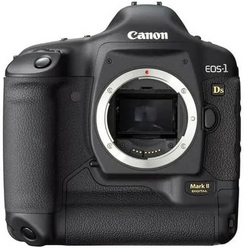 Canon 1DS image