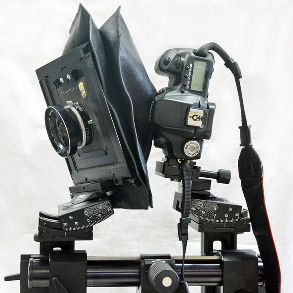 ETone SINNIDIBBL image
