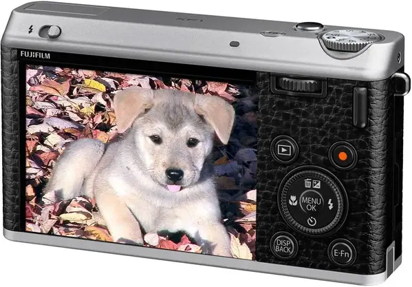 Fujifilm XF1 image