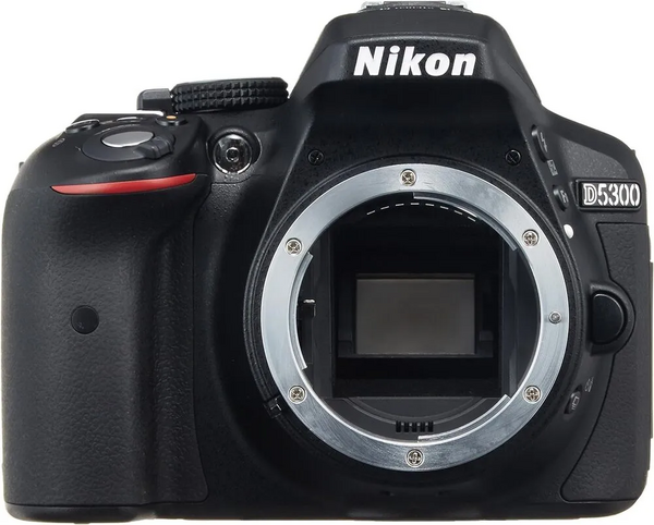 Nikon D5300 image
